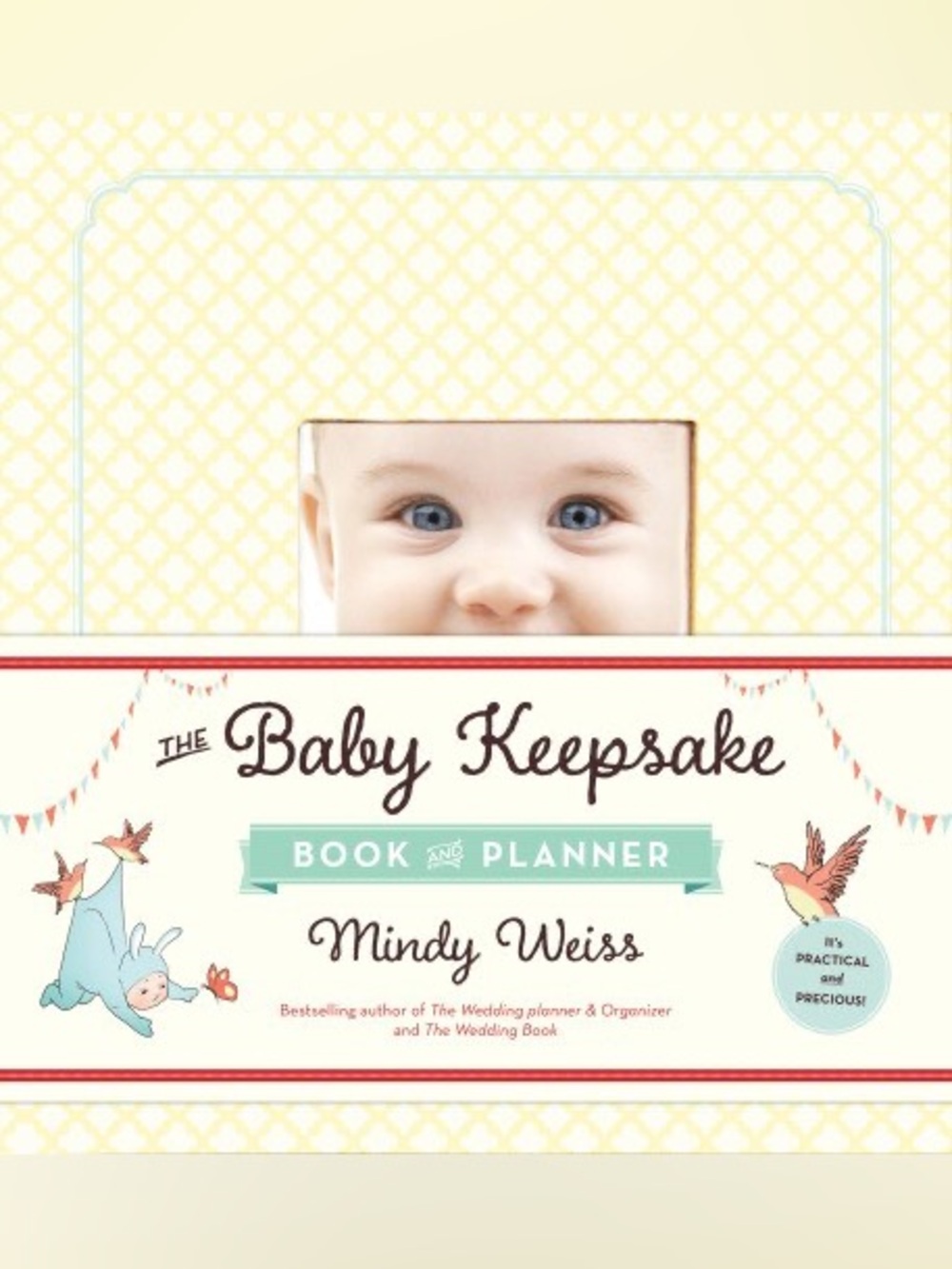The Baby Keepsake Book and Planner NEW